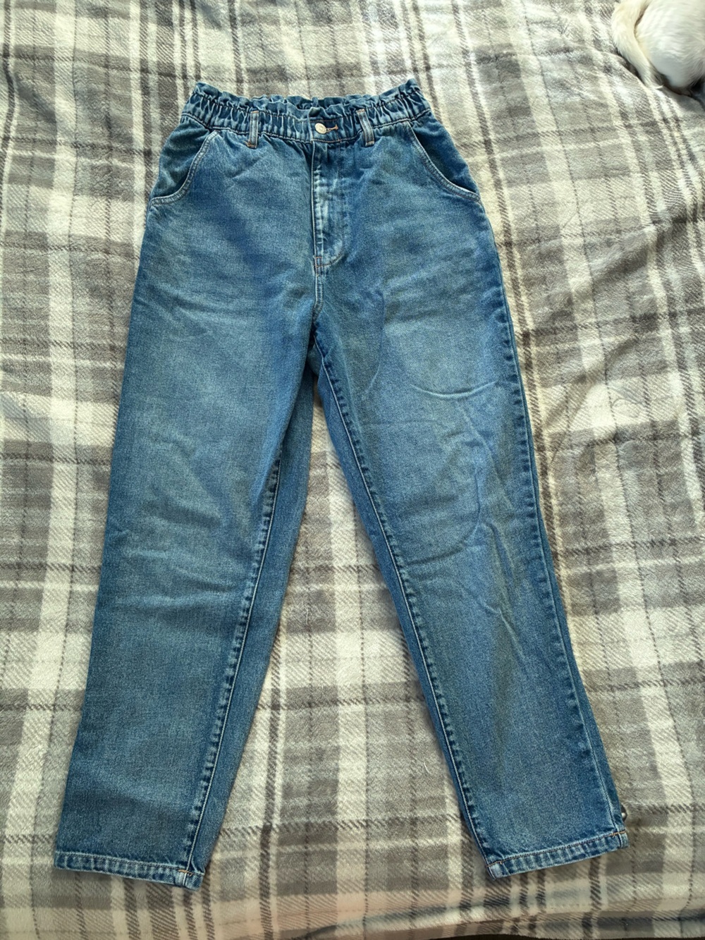 BDG Women’s Pull-On Mom Jeans Blue Medium Wash Tapered Cotton Denim 28